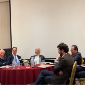 Roundtable discussio:  The recent international developments in the green hydrogen field