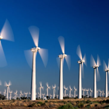 The  global production capacity of Renewable Energies , in Solar and Wind has reached 1 Terawatt